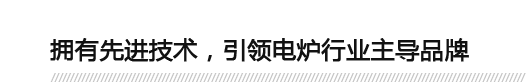 擁有先進(jìn)技術(shù)，引領(lǐng)電爐行業(yè)主導(dǎo)品牌